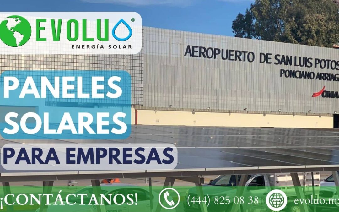 Paneles Solares para Empresas