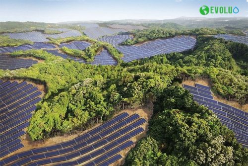 Campos de Golf con Paneles Solares